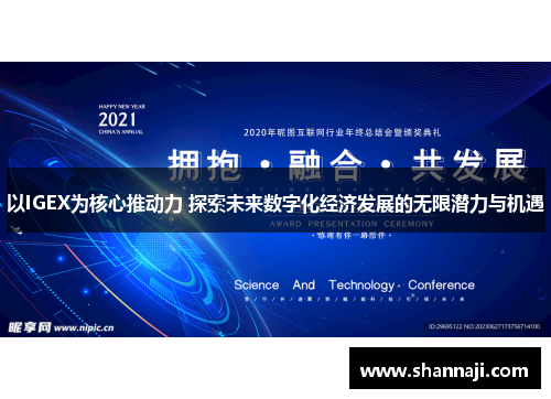 以IGEX为核心推动力 探索未来数字化经济发展的无限潜力与机遇