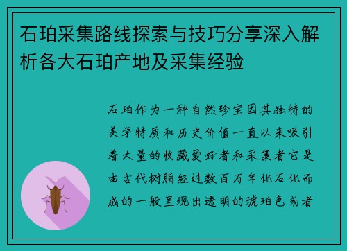 石珀采集路线探索与技巧分享深入解析各大石珀产地及采集经验
